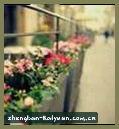 吴芳